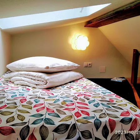 Castel Apartment Brasov