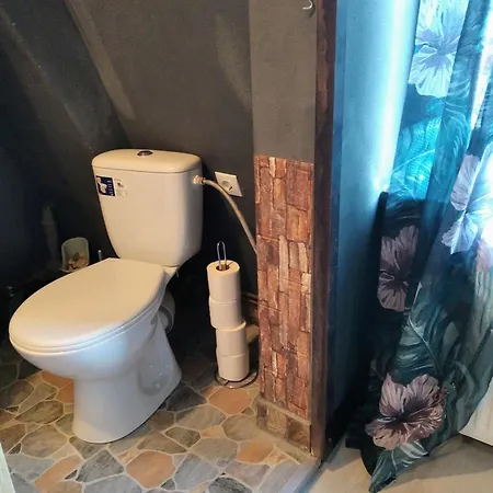 Apartament Castel Braszów