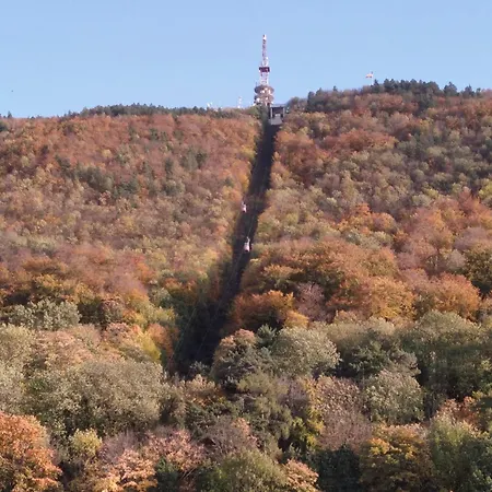 Castel Apartament Braszów