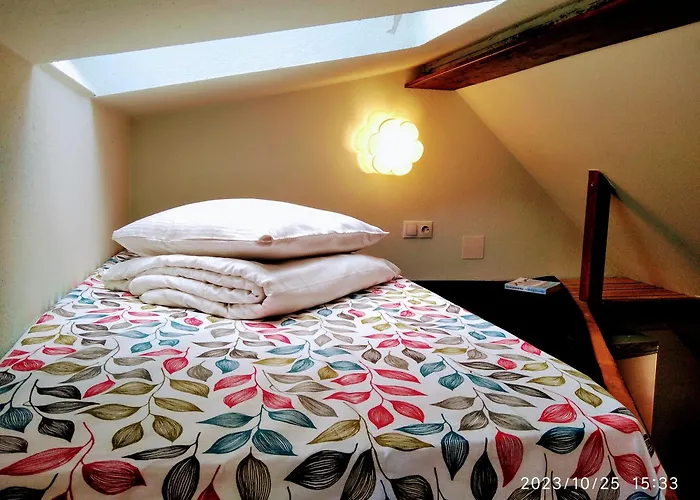 Castel Apartment Brasov