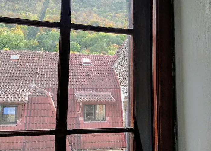 Castel 公寓 布拉索夫