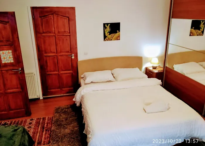 Apartment Castel Brasov