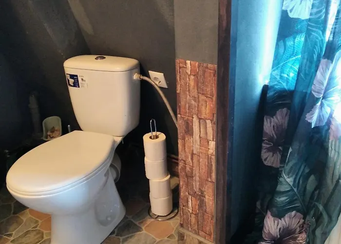 Apartment Castel Brasov