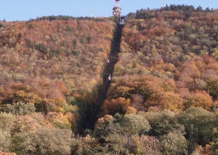 Castel 公寓 布拉索夫